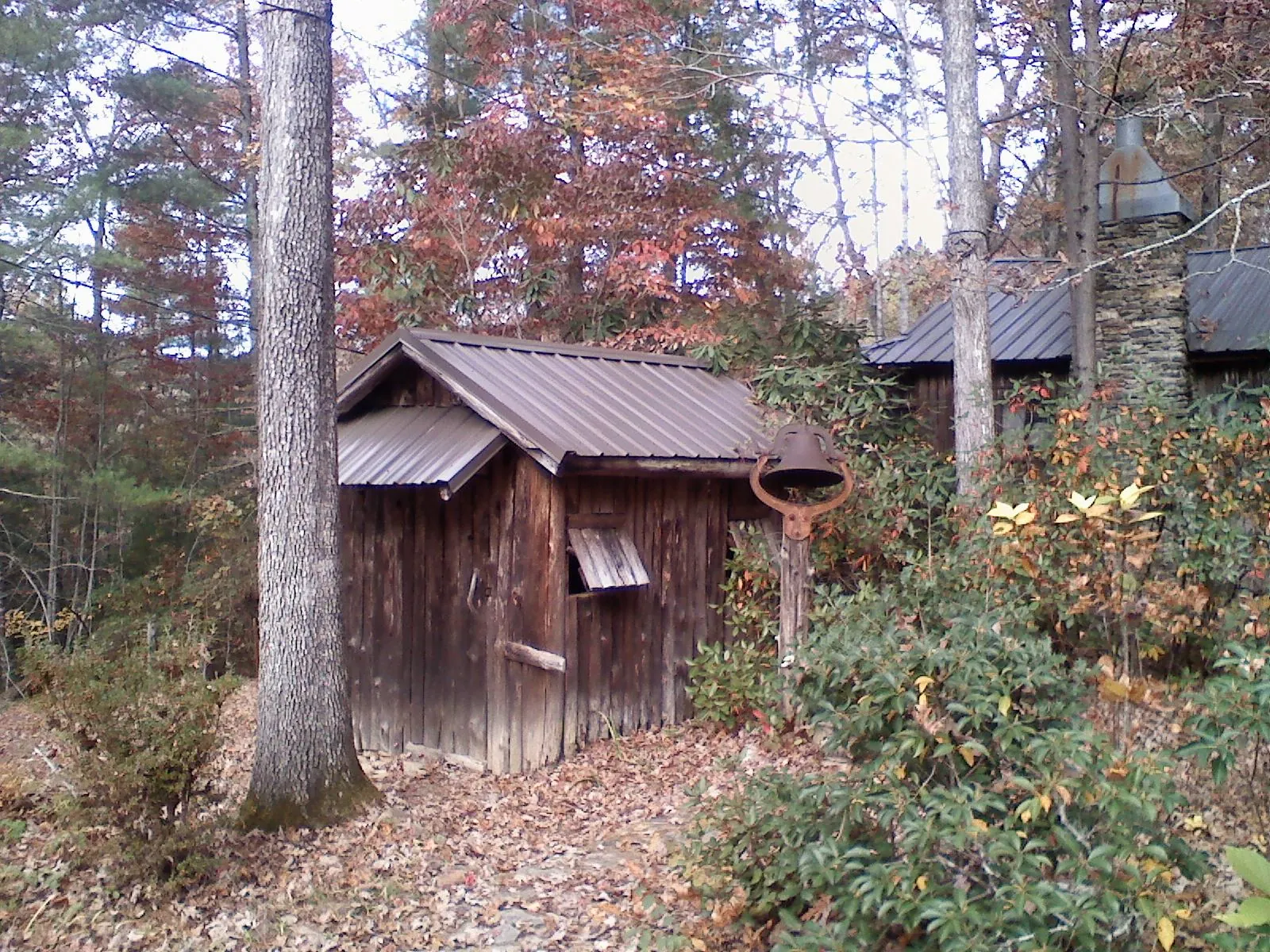 Small metal roof on a rough sawn shed in the woods in Auburn